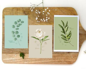 Greeting cards